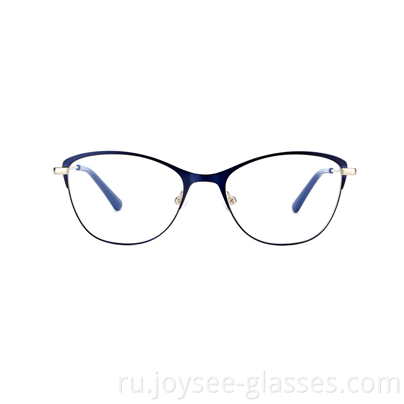 Two Tones Metal Eyeglasses 5